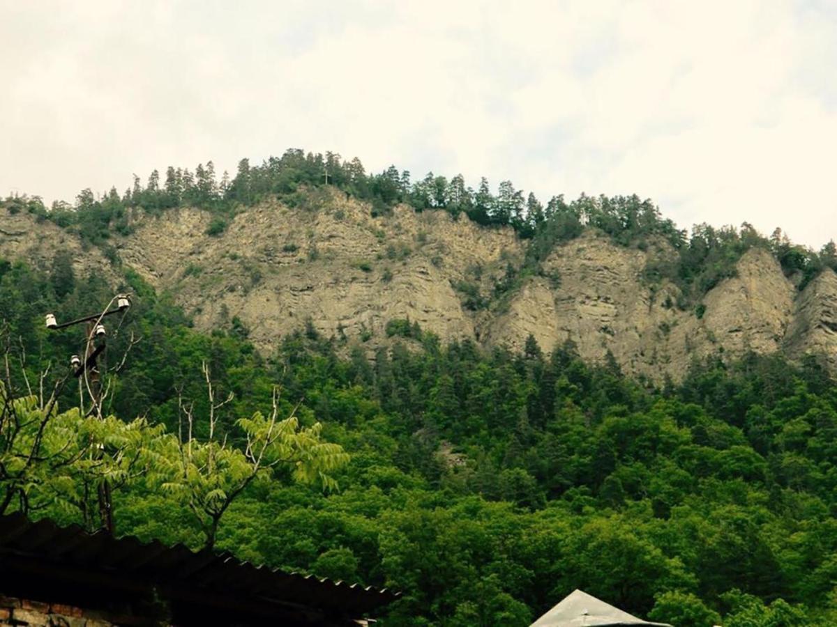Erik'S Guest House Borjomi Luaran gambar